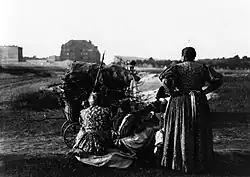 Sběrači dřeva, 1898