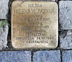 Helena Vejvodová, rozená Machová, snoubenka Jana Brycha mladšího[15]