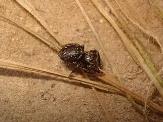 alternativní popis obrázku chybí