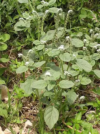 alternativní popis obrázku chybí