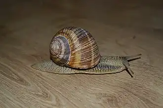 alternativní popis obrázku chybí