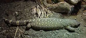 alternativní popis obrázku chybí