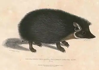 alternativní popis obrázku chybí