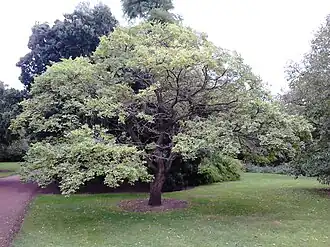 alternativní popis obrázku chybí