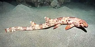 alternativní popis obrázku chybí