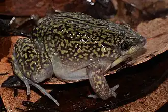 alternativní popis obrázku chybí