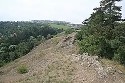 Pohled ze skalní hřebenové partie západním směrem