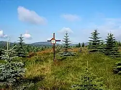 Celkový pohled na kříž