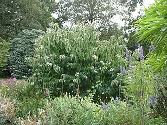 alternativní popis obrázku chybí