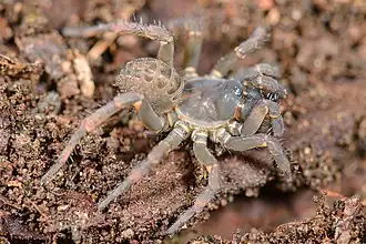 alternativní popis obrázku chybí