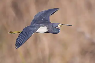 alternativní popis obrázku chybí