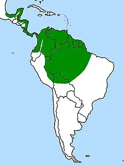 Rozšíření volavky agami (zeleně)