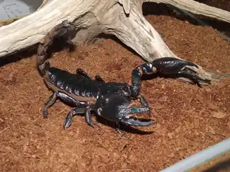 alternativní popis obrázku chybí