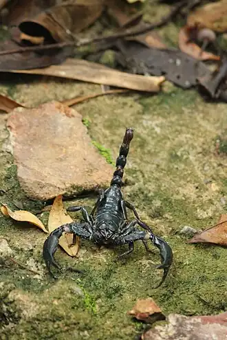 popis obrázku chybí