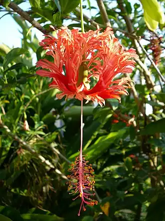 alternativní popis obrázku chybí