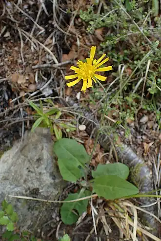 alternativní popis obrázku chybí