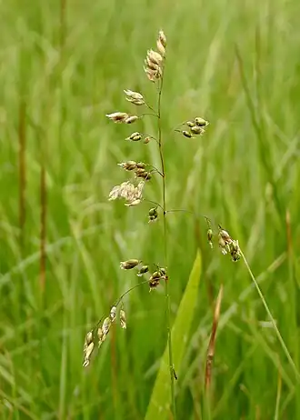 alternativní popis obrázku chybí