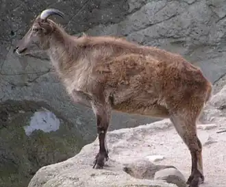 alternativní popis obrázku chybí