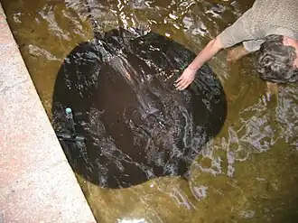 alternativní popis obrázku chybí