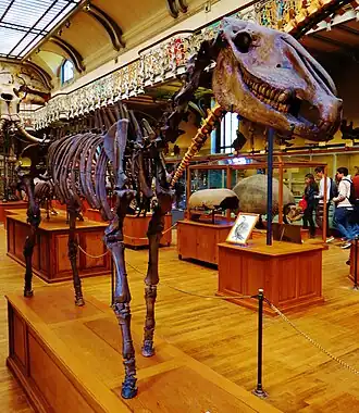 alternativní popis obrázku chybí