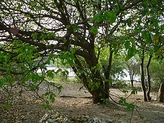 alternativní popis obrázku chybí