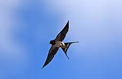 Při pohledu zespodu