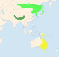 světle zelená – hnízdiště tažné populace žlutě – zimoviště tmavě zelená – stálá populace