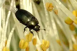 alternativní popis obrázku chybí