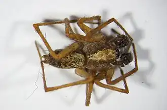 popis obrázku chybí