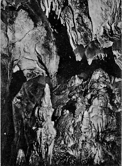 Černobílá pohlednice s detailem krápníkové výzdoby Mladečských jeskyní.
