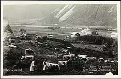 Hjem fra Støylen. Fra Valle, Sætersdalen