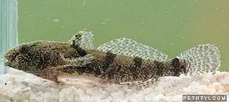 alternativní popis obrázku chybí