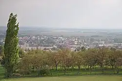 Hořice z Masarykovy věže na Hořickém hřbetu