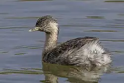 alternativní popis obrázku chybí