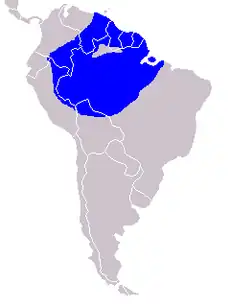 Areál rozšíření