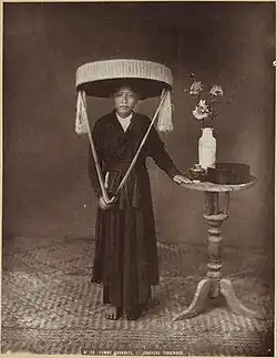 Žena z Tonkinu, 1883–1886