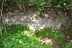 Fragment hradního zdiva