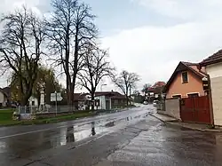 Střed obce, silnice z Telče do Třeště