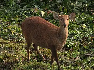 alternativní popis obrázku chybí