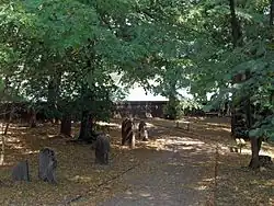 Celkový pohled na část s náhrobními kameny