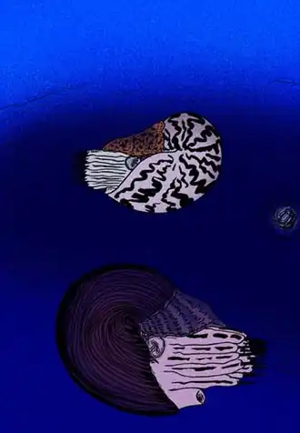 popis obrázku chybí