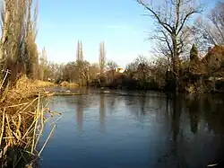 Přírodní památka Holásecká jezera