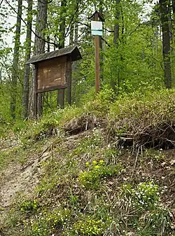 Teplomilná květena při okraji rezervace