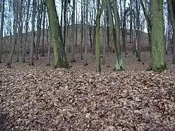 Holý vrch od jižního úpatí