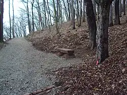 Upravená cesta k vrcholu