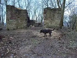 Zbytky staveb na vrcholu