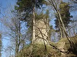 Jeden ze zbytků zdiva dříve považovaný mylně za věž