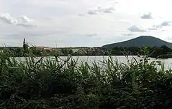 Vlhošť za Holanským rybníkem