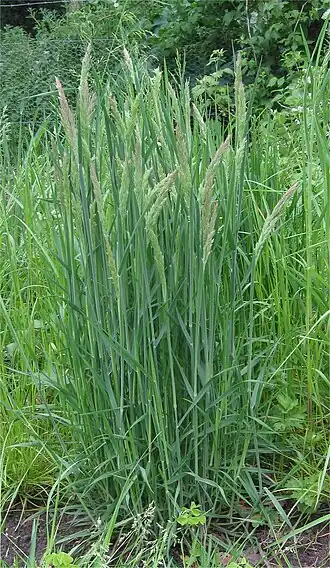 alternativní popis obrázku chybí