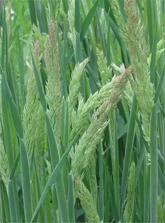 alternativní popis obrázku chybí